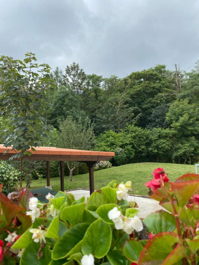 2 Apartamentos En Villa Con Piscina Privada En Asturias El Marquesau Noriega Exterior photo